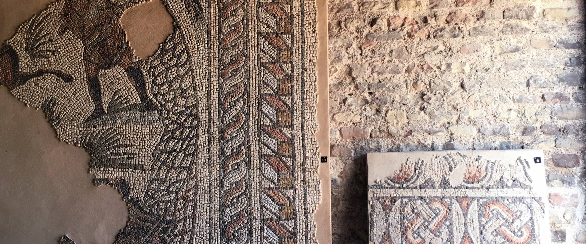 Palazzo di Teodorico - Mosaico piano superiore 3 foto di Walter manni
